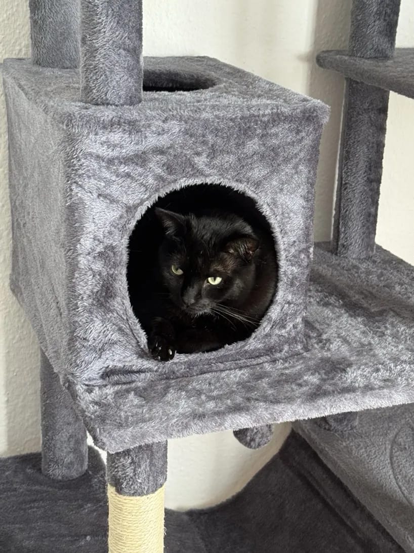 Foto da avaliação Carlos 2