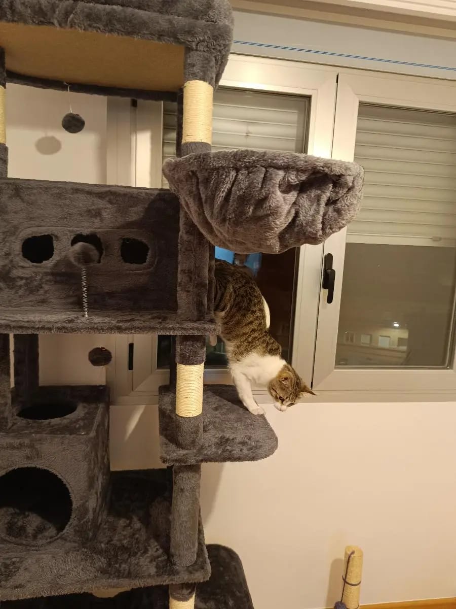 Foto da avaliação Carlos 2