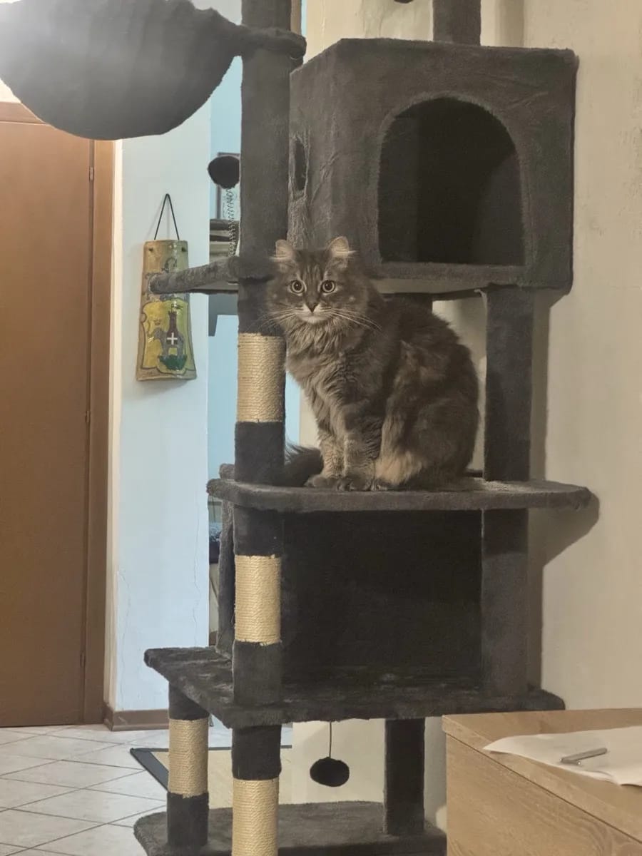 Foto da avaliação Carlos 2