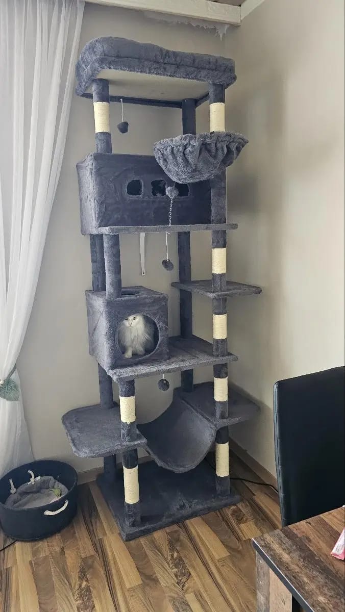 Foto da avaliação Carlos 1