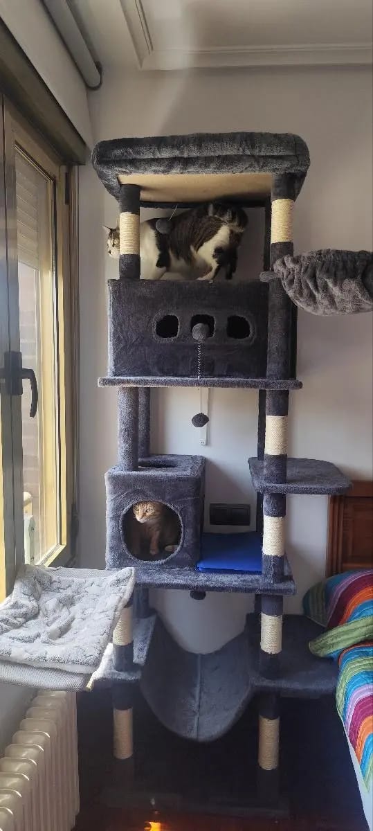 Foto da avaliação Carlos 1