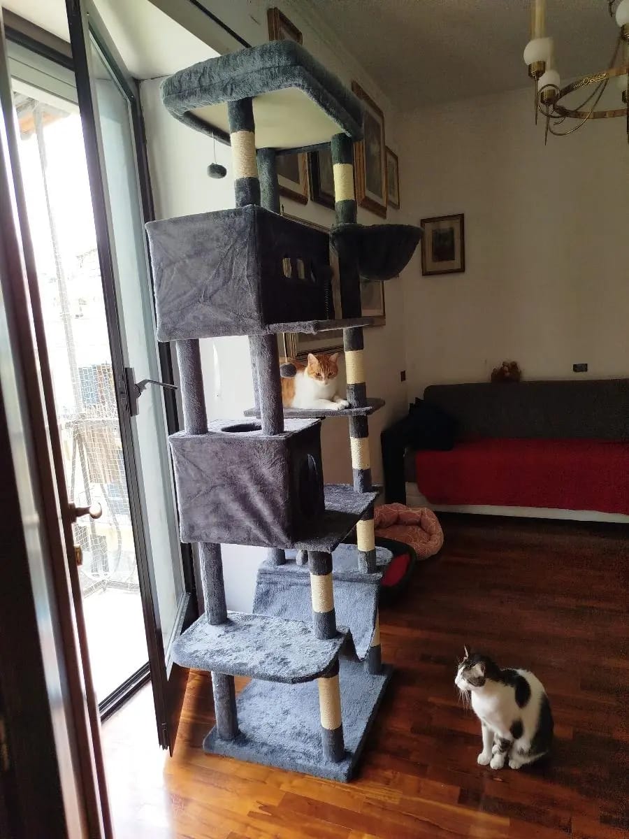 Foto da avaliação Carlos 1