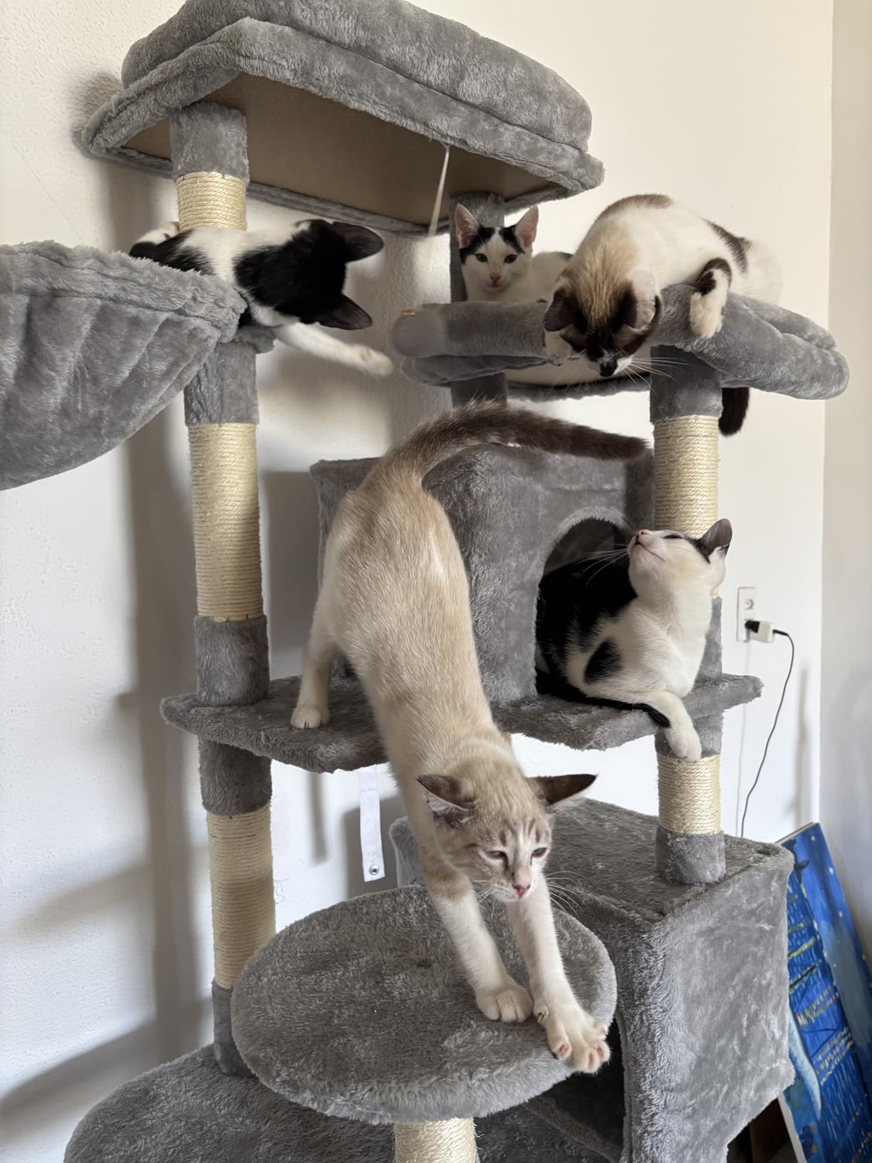 Foto da avaliação Maria 2